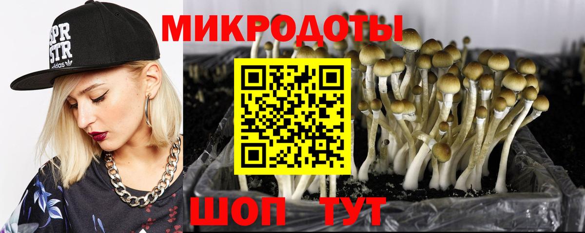Псилоцибиновые грибы мицелий Шумерля