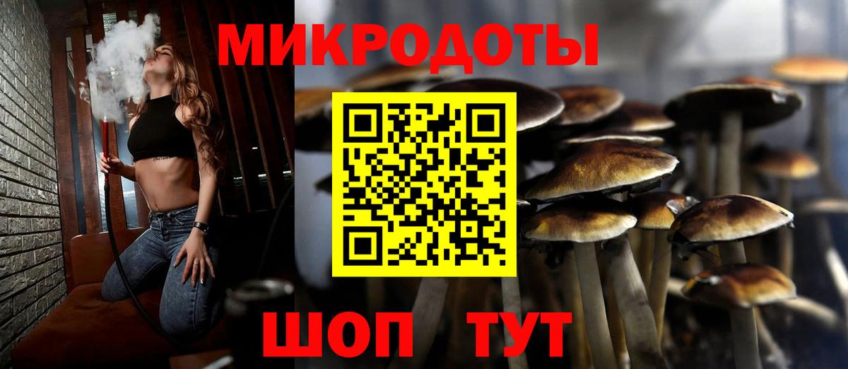 Шумерля  цены   Вход с VPN  Галлюциногенные грибы мицелий 
